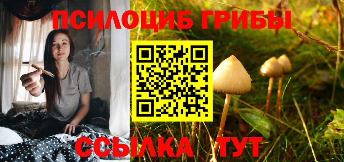 Псилоцибиновые грибы Cubensis  Вход с VPN  Волгоград 